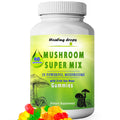 10 Mushroom Blend Sea Moss Gummies | Turkey Tail, Lion's Mane, Reishi + More | Healing Drops™
