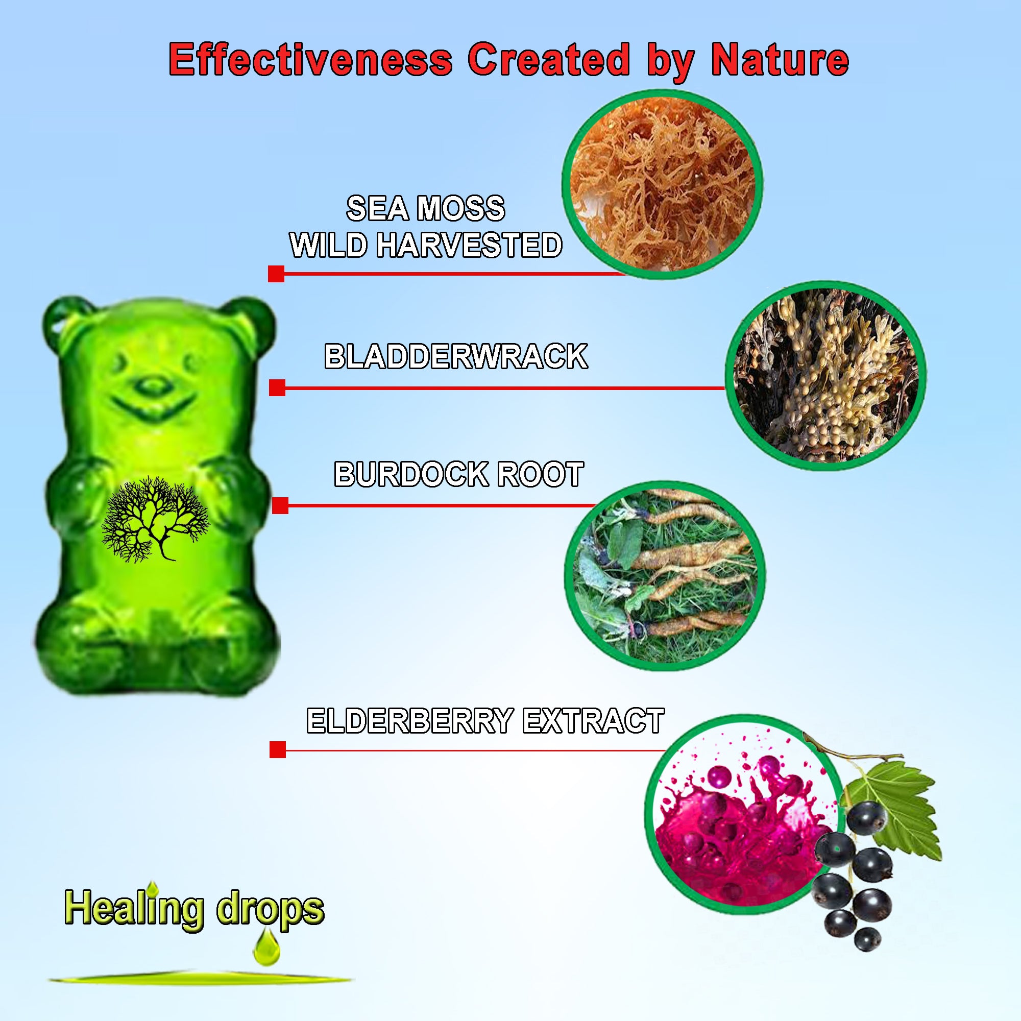 Irish Sea Moss Elderberry Gummies | Vitamin C D + Zinc + Bladderwrack | Healing Drops™