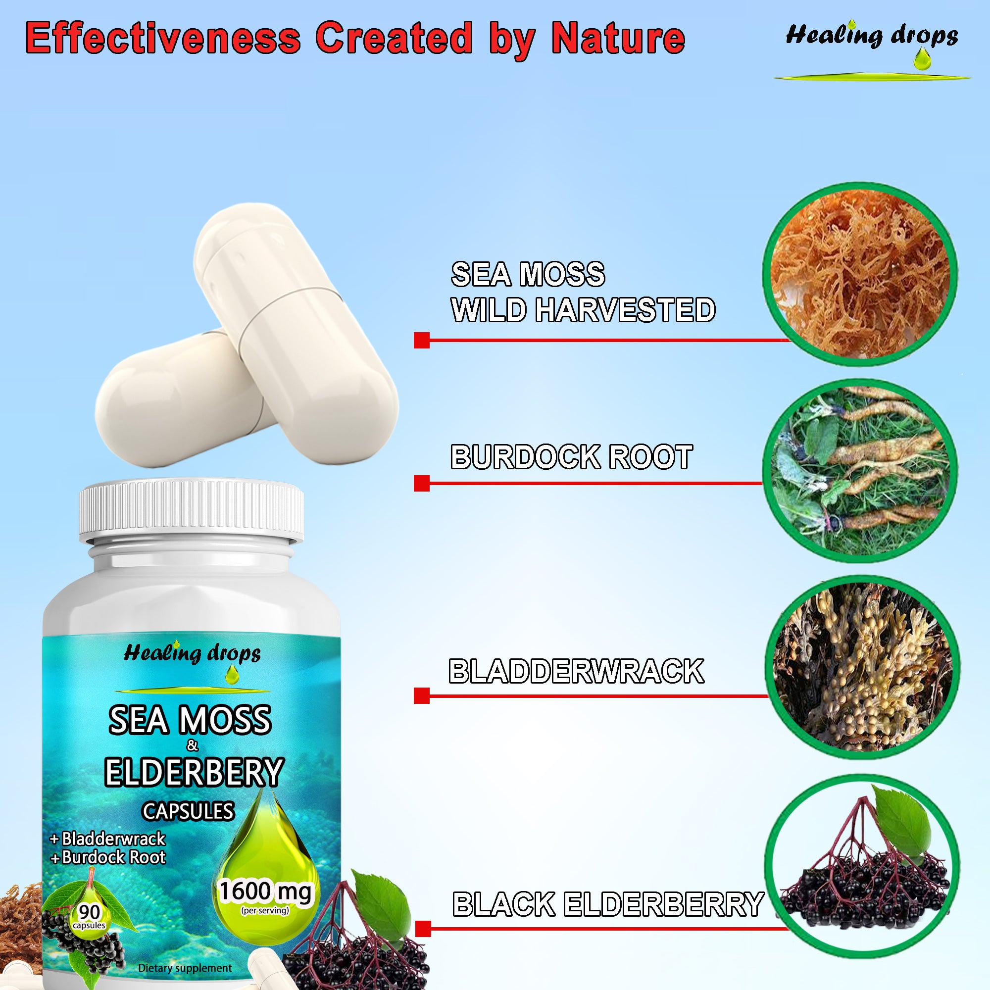 Irish Sea Moss Elderberry Capsules | Bladderwrack & Burdock Root | Immune & Thyroid Support | Healing Drops™