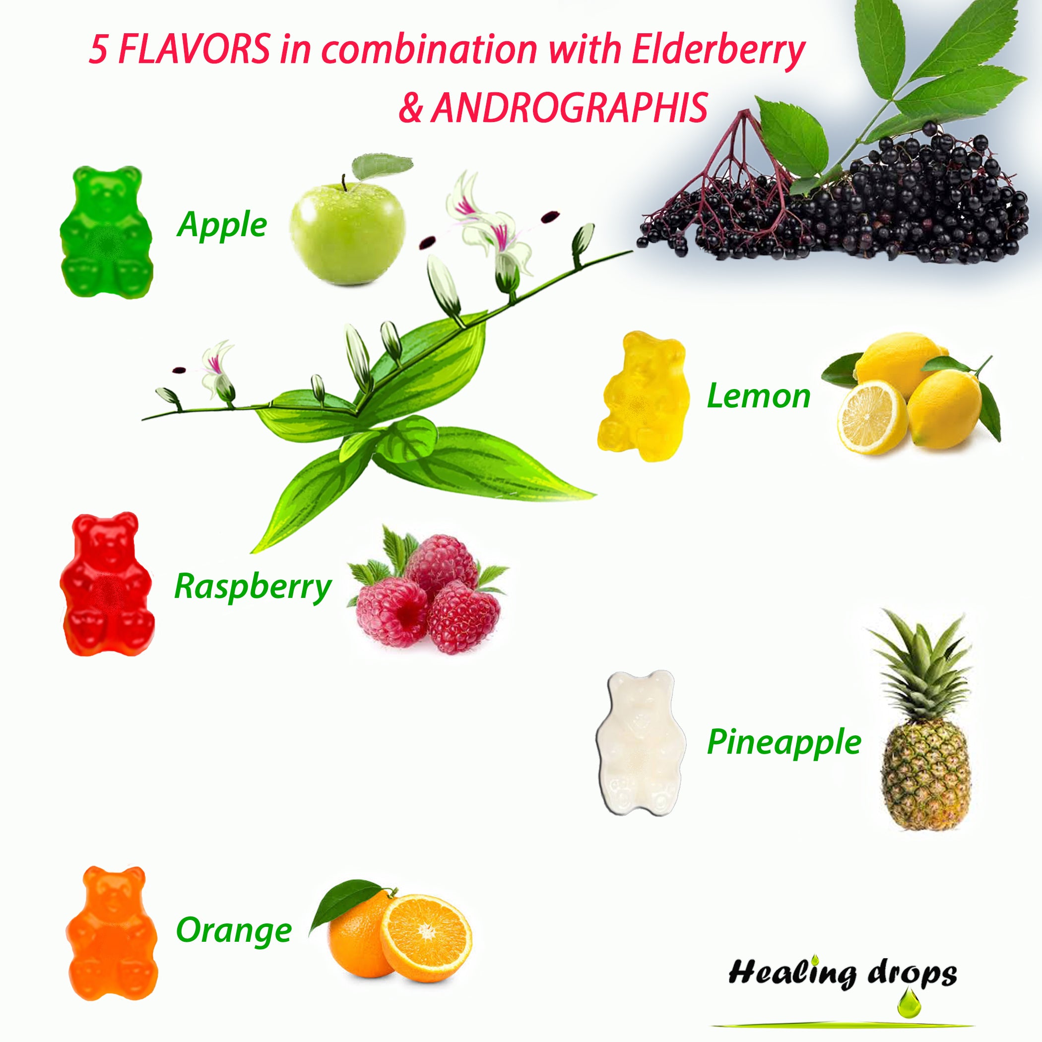 Elderberry Andrographis Gummies 900mg | Immune Defense for Adults & Kids | Healing Drops™