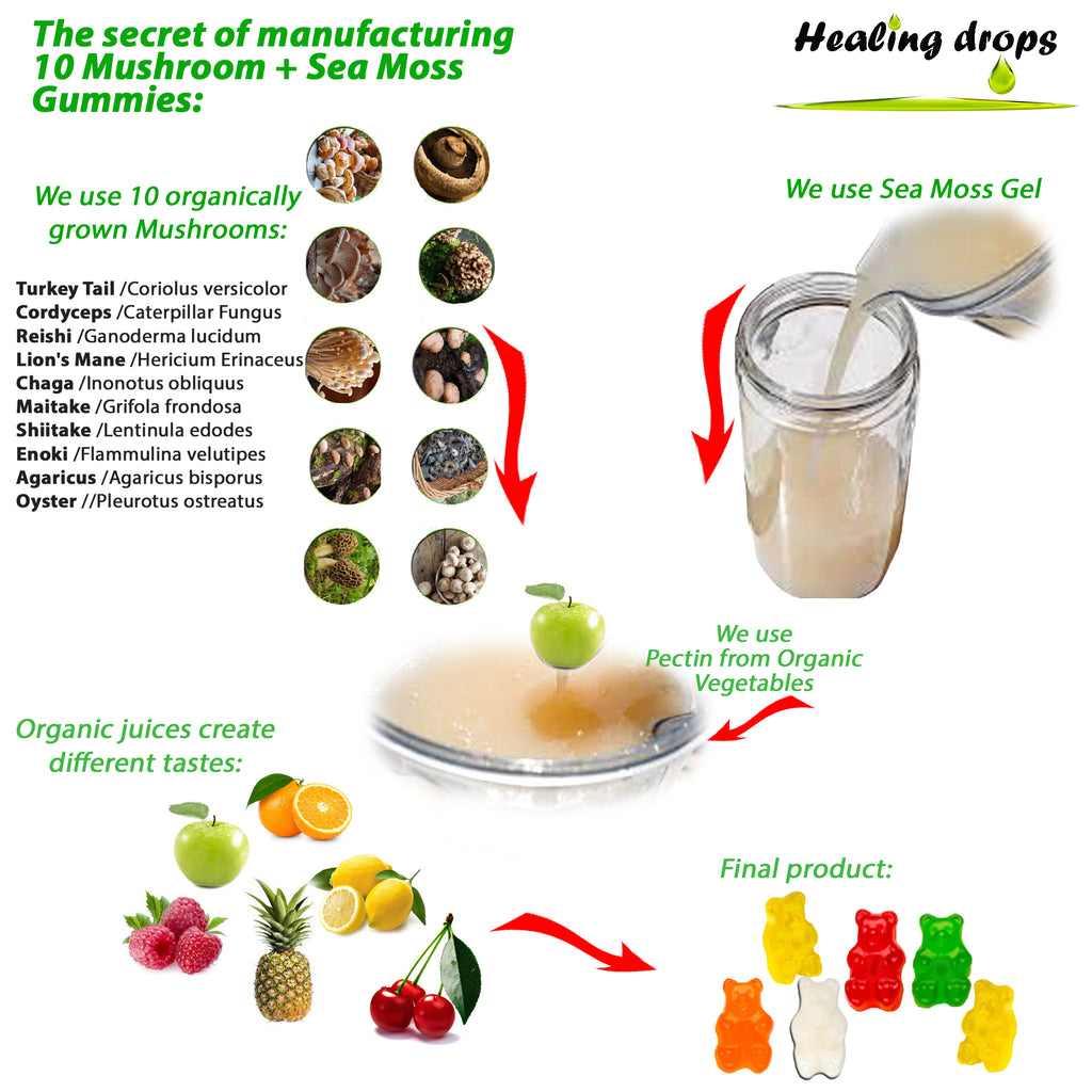 10 Mushroom Blend Sea Moss Gummies | Turkey Tail, Lion's Mane, Reishi + More | Healing Drops™
