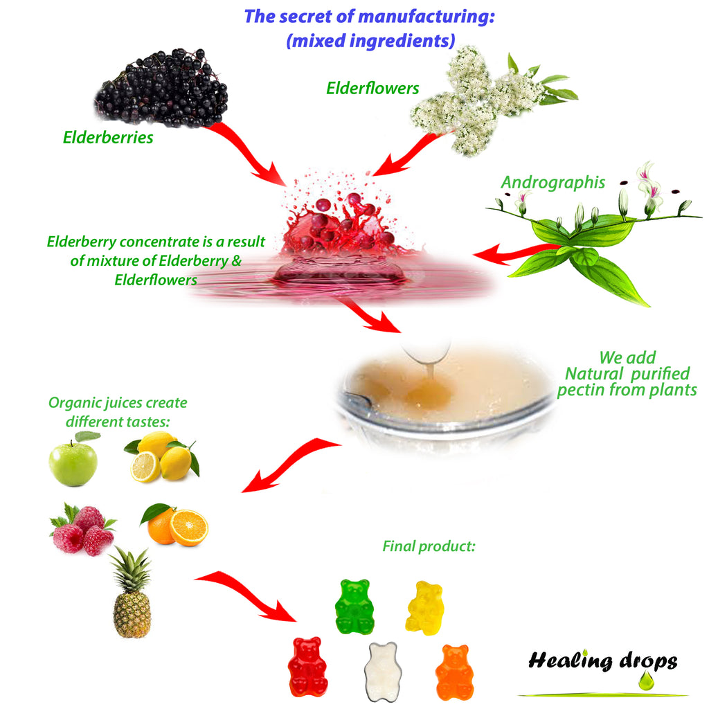 Elderberry Andrographis Gummies 900mg | Immune Defense for Adults & Kids | Healing Drops™