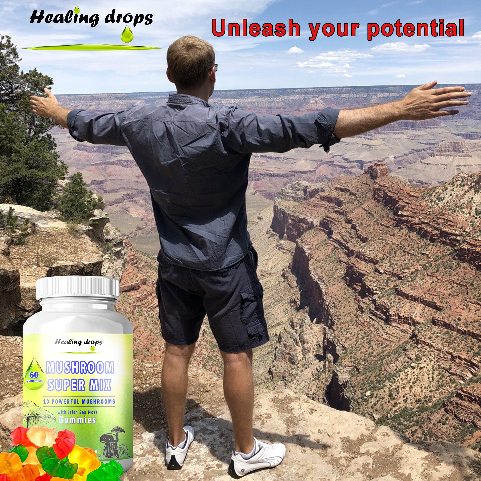 10 Mushroom Blend Sea Moss Gummies | Turkey Tail, Lion's Mane, Reishi + More | Healing Drops™