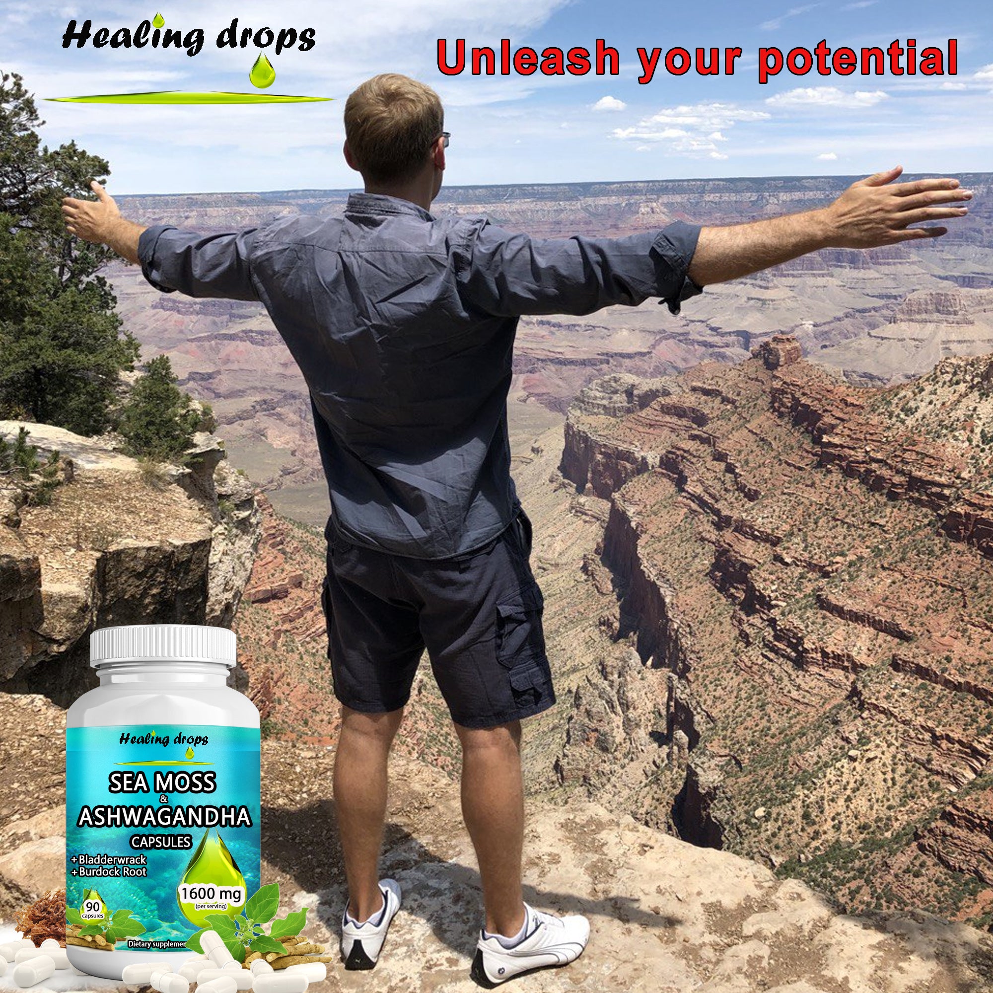 Sea Moss Ashwagandha Capsules | Bladderwrack & Burdock Root | 102 Minerals | Healing Drops™