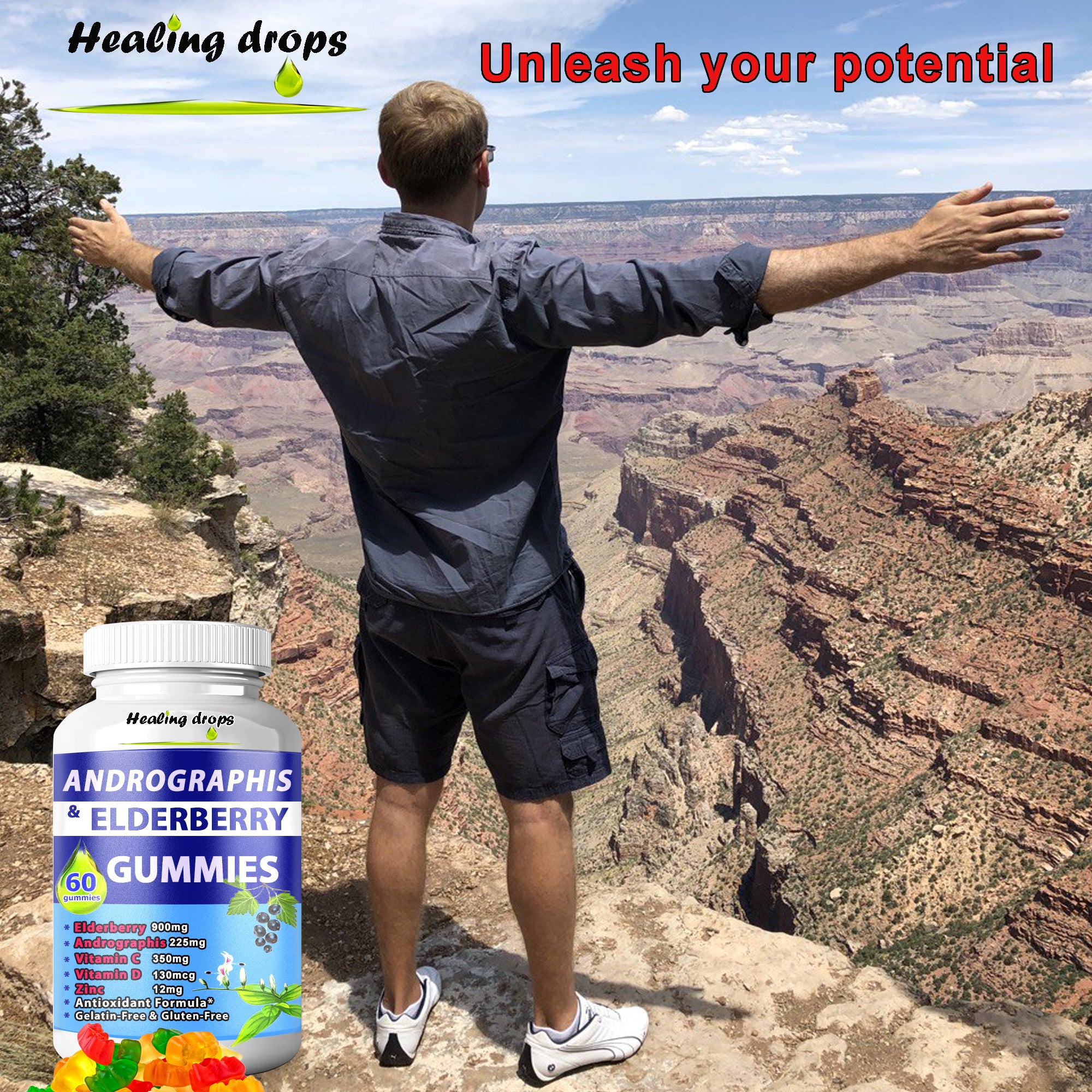 Elderberry Andrographis Gummies 900mg | Immune Defense for Adults & Kids | Healing Drops™