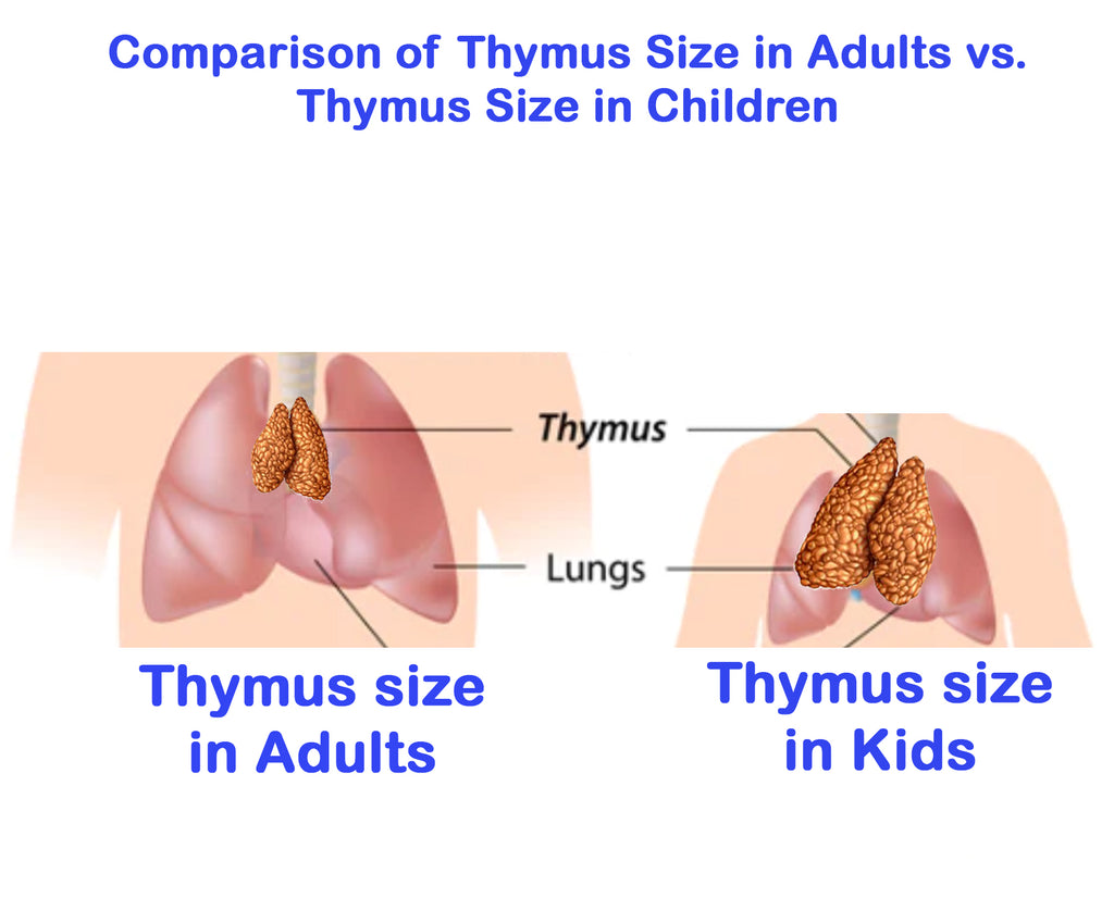Thymus Gland Raw Tissue Softgels | Immune Regeneration Formula | Healing Drops™